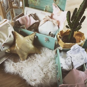 valise